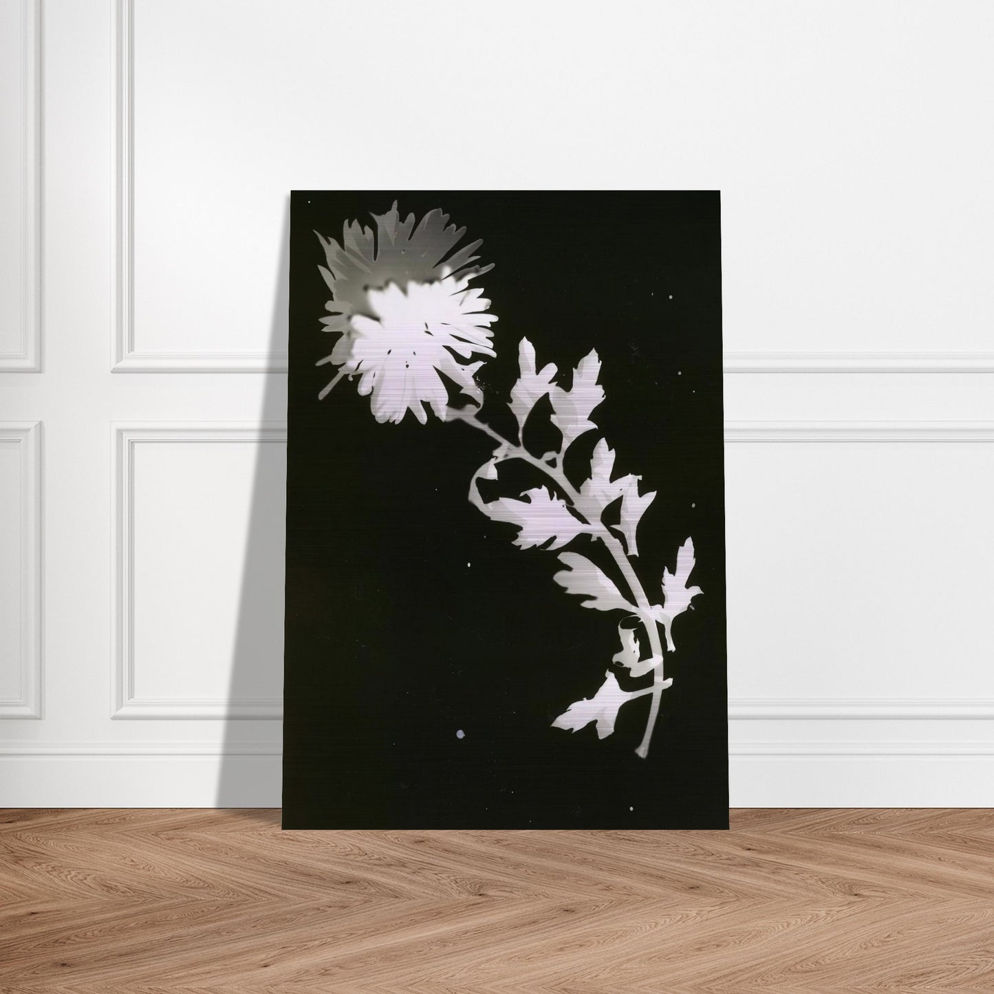 Flower - Laszlo Moholy-Nagy Brushed Aluminum Print - 70x100 cm / 28x40 inches | Laszlo Moholy-Nagy Aluminum Print | Laszlo Moholy-Nagy Prints