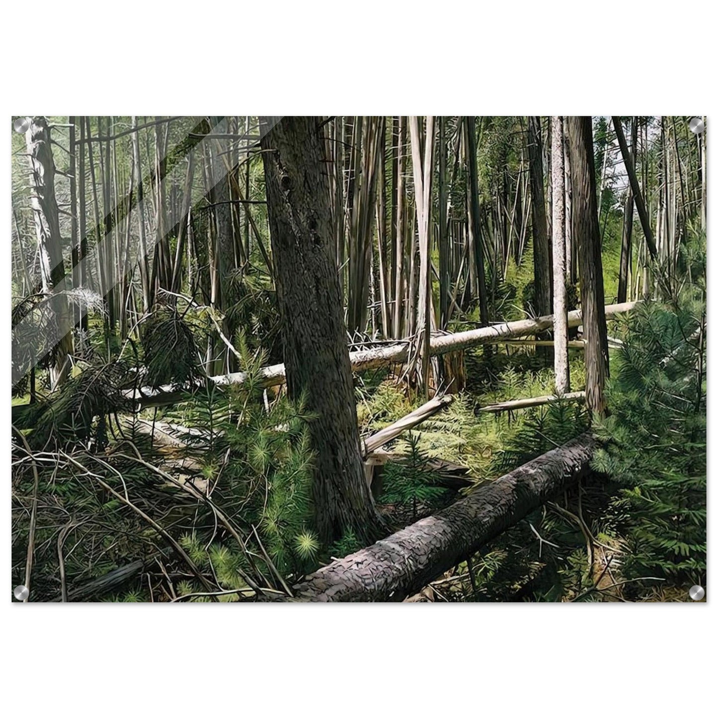 NEAR HUNTERS BEACH ACADIA NATIONAL PARK 2008 - Richard Estes Acrylic Print - 70x100 cm / 28x40″ inches | Richard Estes Wall Art | Richard Estes Prints