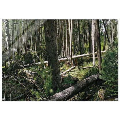 NEAR HUNTERS BEACH ACADIA NATIONAL PARK 2008 - Richard Estes Acrylic Print - 70x100 cm / 28x40″ inches | Richard Estes Wall Art | Richard Estes Prints