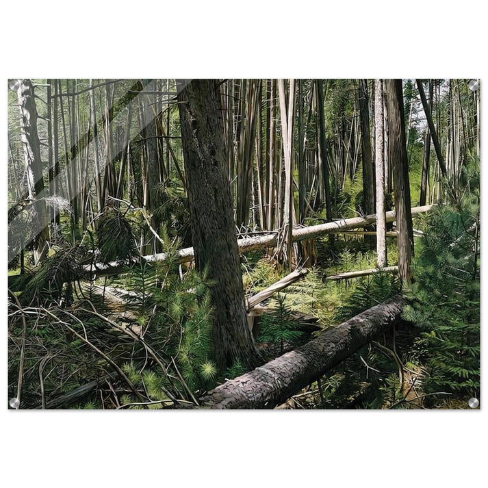 NEAR HUNTERS BEACH ACADIA NATIONAL PARK 2008 - Richard Estes Acrylic Print - 70x100 cm / 28x40″ inches | Richard Estes Wall Art | Richard Estes Prints
