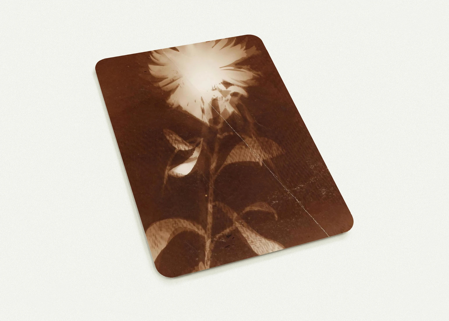 ae30af6f-35e3-469f-91db-881dbd8a1228