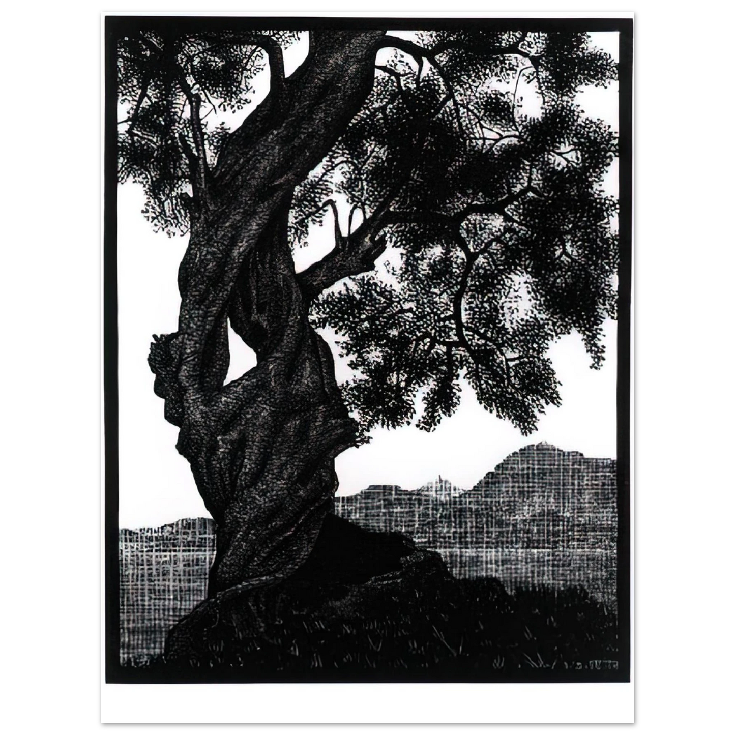 MC Escher - OLD OLIVE TREE CORSICA Wall Art - 21x29.7 cm / 8x12" - Fine Art Poster - -