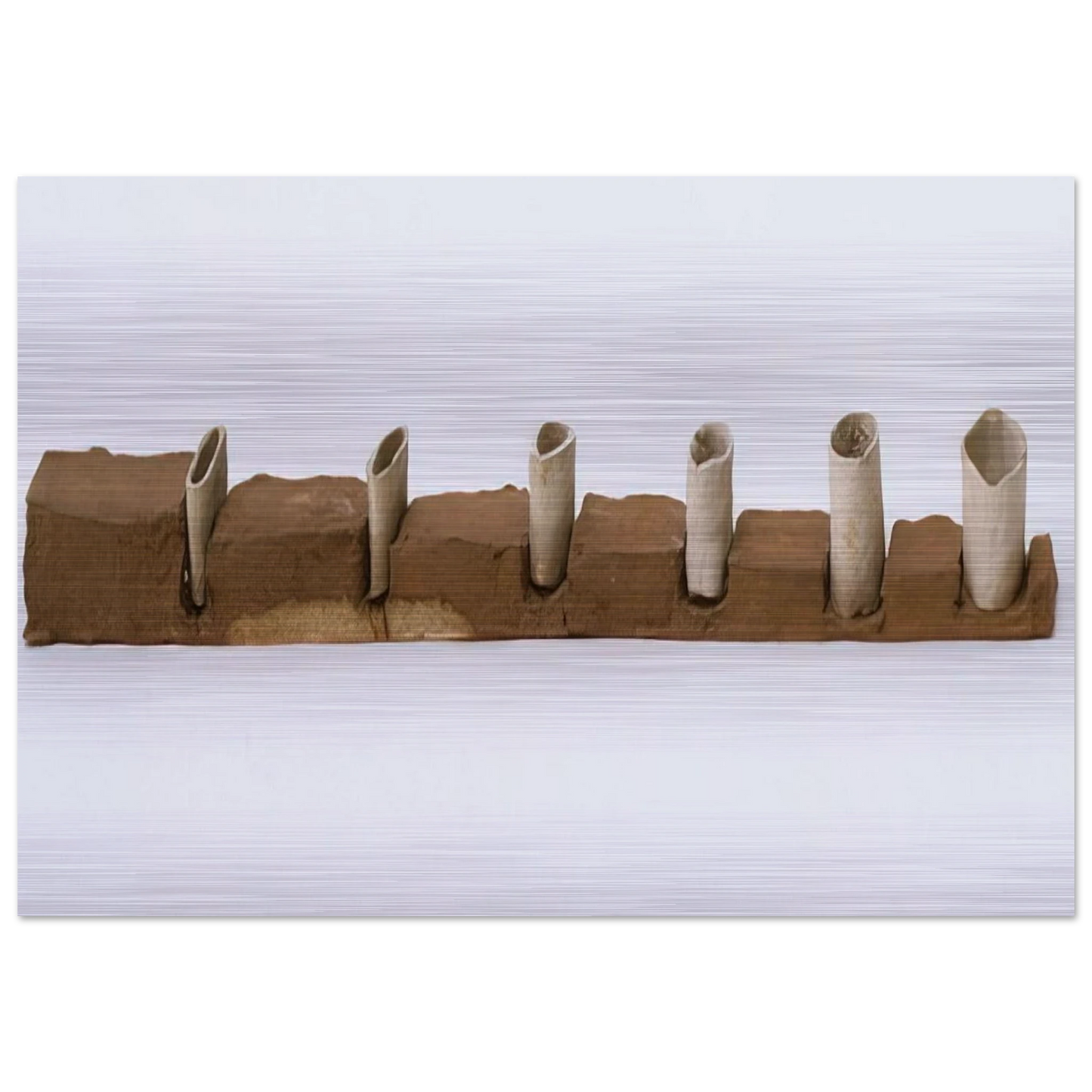 ae905581-224e-4d46-8ae7-d00ddc380890