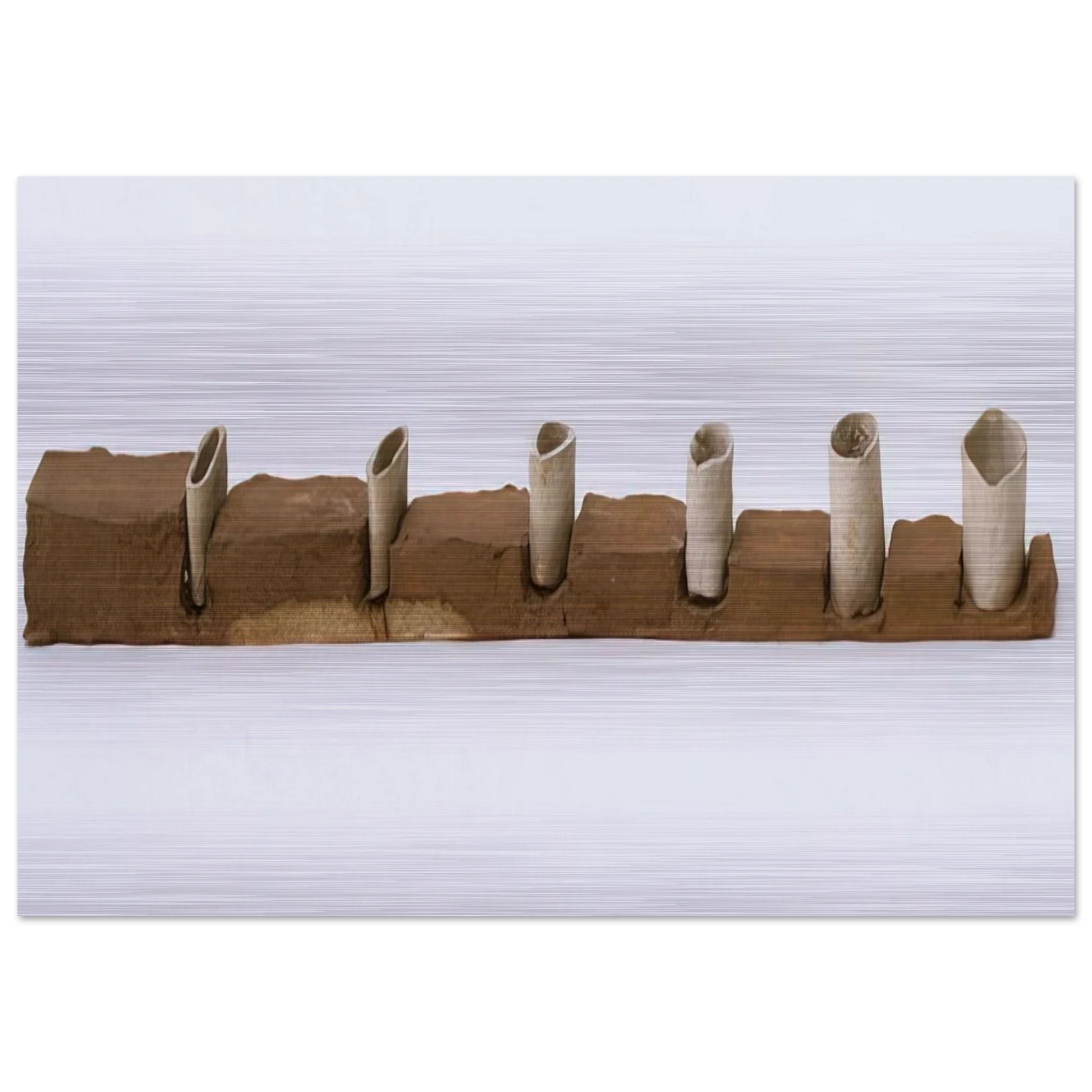 ae905581-224e-4d46-8ae7-d00ddc380890