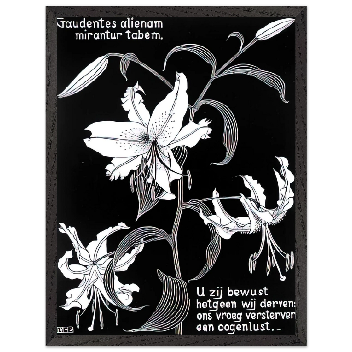MC Escher - FLOWERS Wall Art - 30x40 cm / 12x16 inches - Fine Art Poster - -