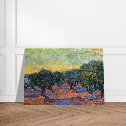 Olive Grove - Orange Sky - Vincent van Gogh Brushed Aluminum Print - 70x100 cm / 28x40 inches | Vincent van Gogh Aluminum Print | Vincent van Gogh Prints