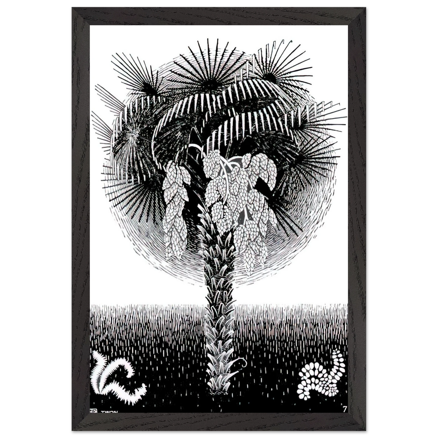 MC Escher - PALM TREE Wall Art - 60x80 cm / 24x32 inches - Fine Art Poster - -
