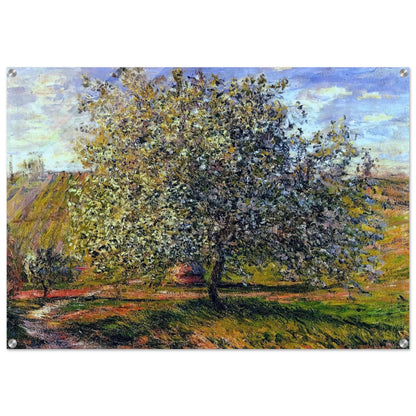 Tree in Flower near Vetheuil - claude monet Acrylic Print - 70x100 cm / 28x40″ inches | claude monet Wall Art | claude monet Prints