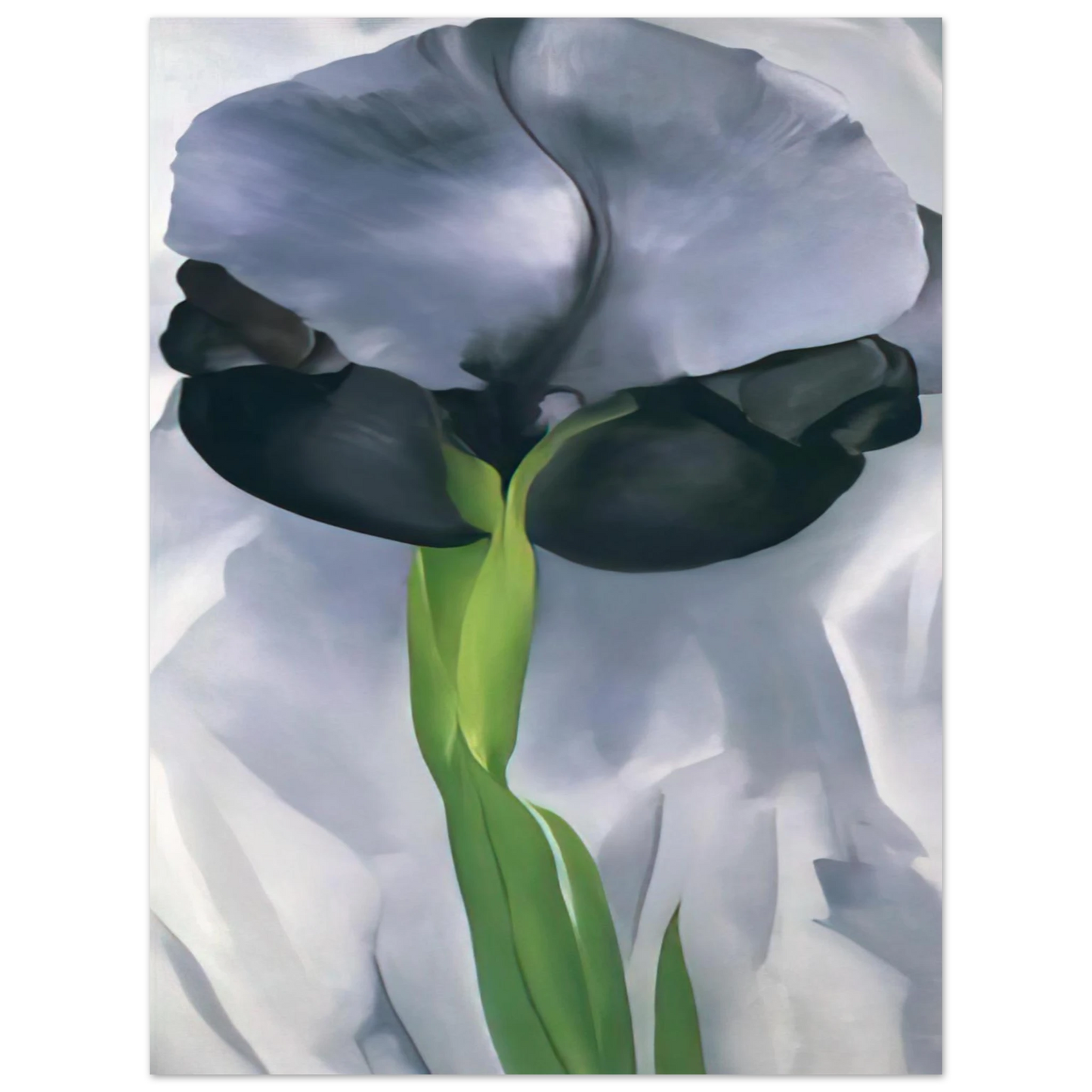 Georgia O'Keeffe - Iris 7 Fine Art Poster - 13x18 cm / 5x7 inches
