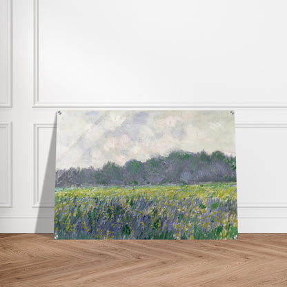 Field of Yellow Irises at Giverny - claude monet Acrylic Print - 70x100 cm / 28x40″ inches