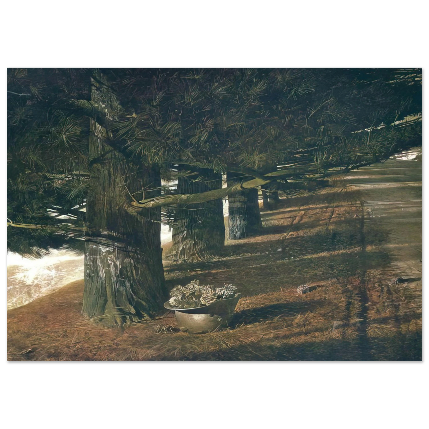Andrew Wyeth - PINE BARON Wall Art - 30x40 cm / 12x16 inches - Fine Art Poster - -