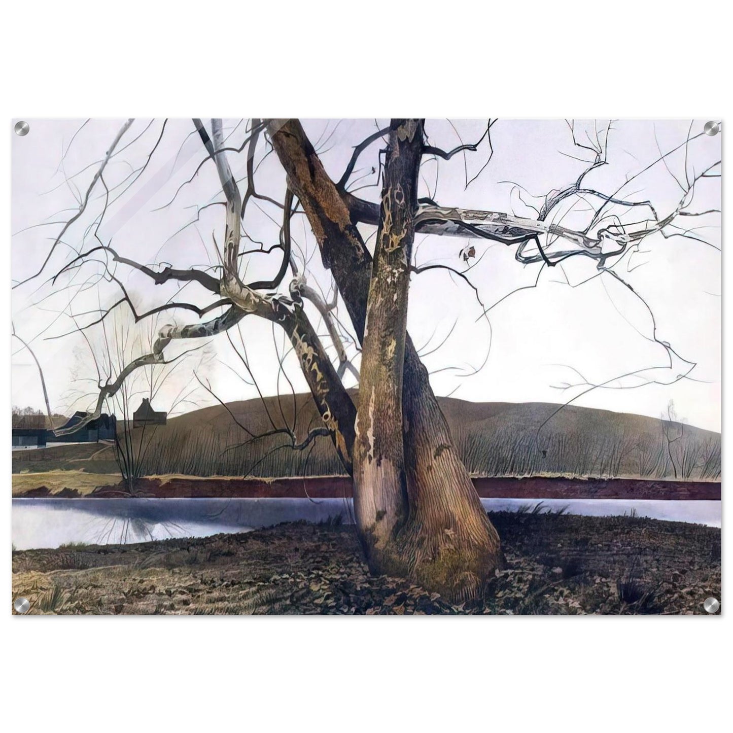 afd3d3b4-dbda-4a58-b894-31319601f194