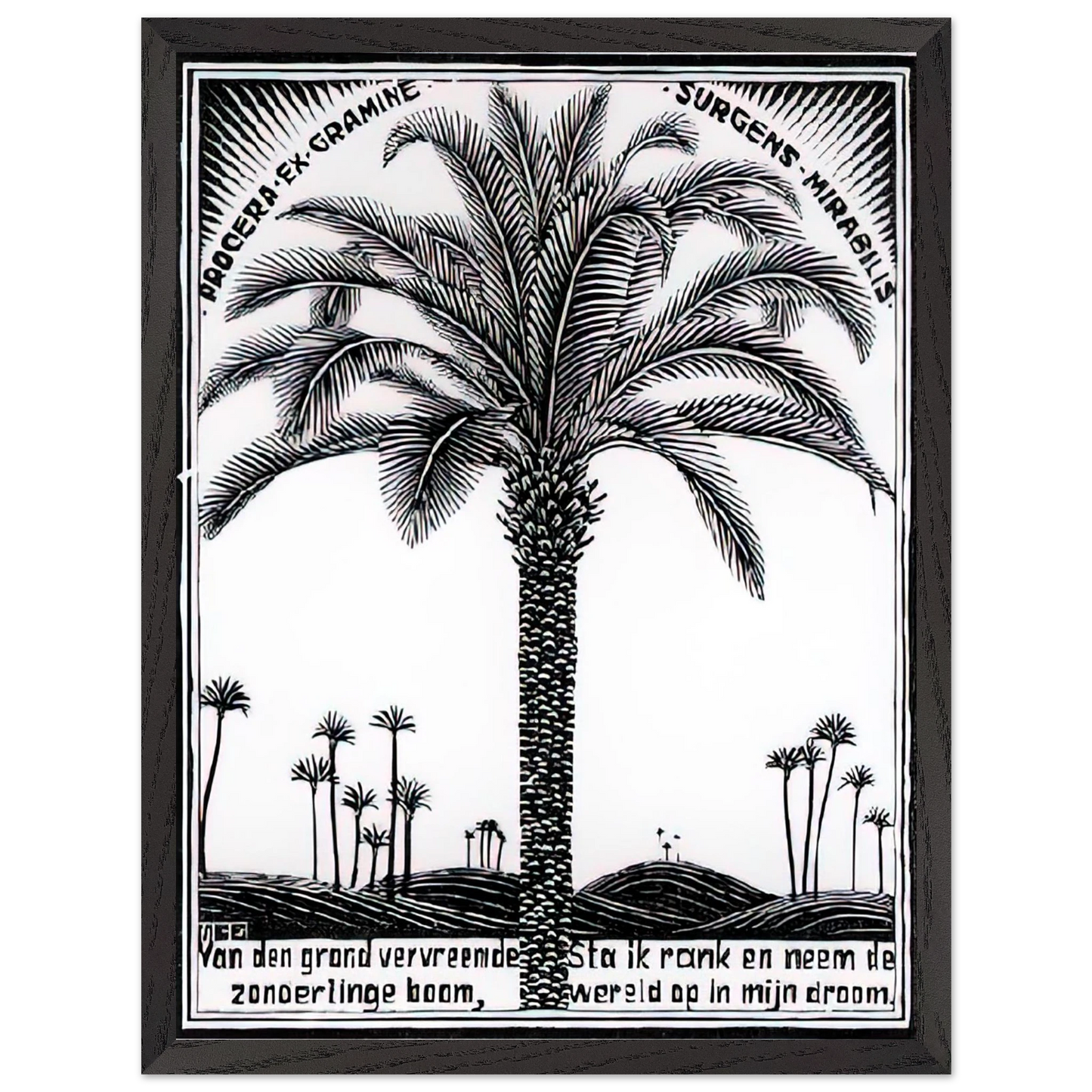 MC Escher - PALM TREE 1 Wall Art - 30x40 cm / 12x16 inches - Premium Wooden Framed Poster With Fine Art Paper - Wood frame