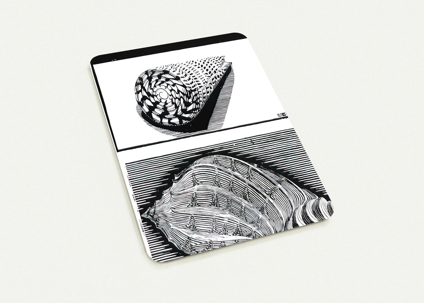 b00fbc65-5042-470f-8199-6fa1faac3338