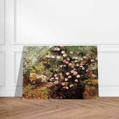 Rosebush in Blossom - Vincent van Gogh Acrylic Print - 70x100 cm / 28x40″ inches | Vincent van Gogh Wall Art | Vincent van Gogh Prints