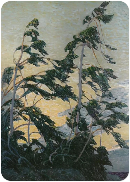 b0b0d171-2106-4919-8c4d-7d1169b1a80a