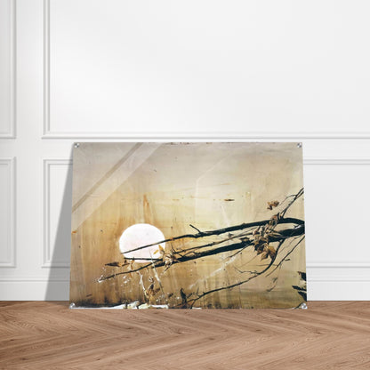 b0e51c44-469c-4c17-8694-290f1f638578