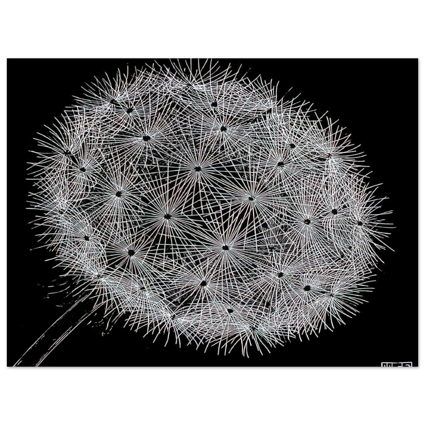 MC Escher - BLOWBALL II Wall Art - 30x40 cm / 12x16 inches - Premium Wooden Framed Poster With Fine Art Paper - White frame