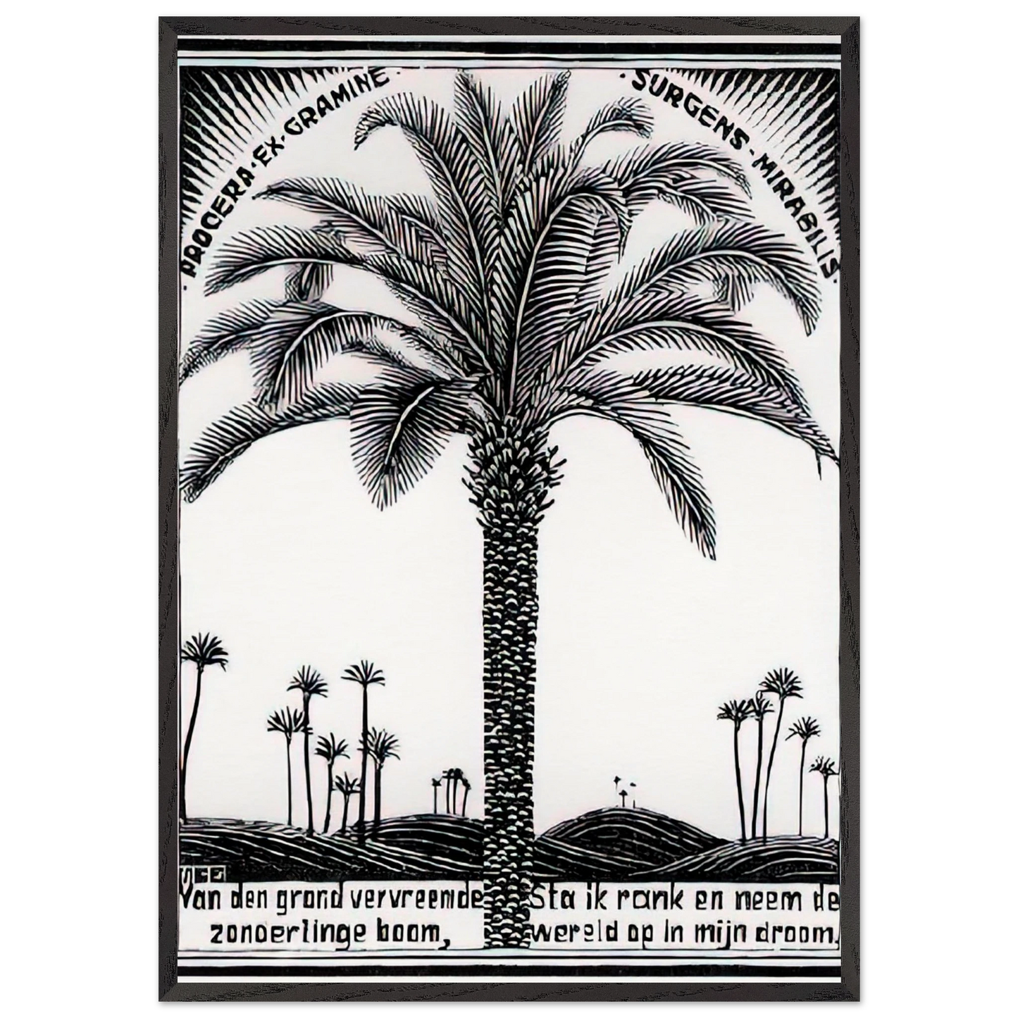 PALM TREE 1 - MC Escher Framed Art Print – Black Wooden Frame - Default Title - -Framed Art Print
