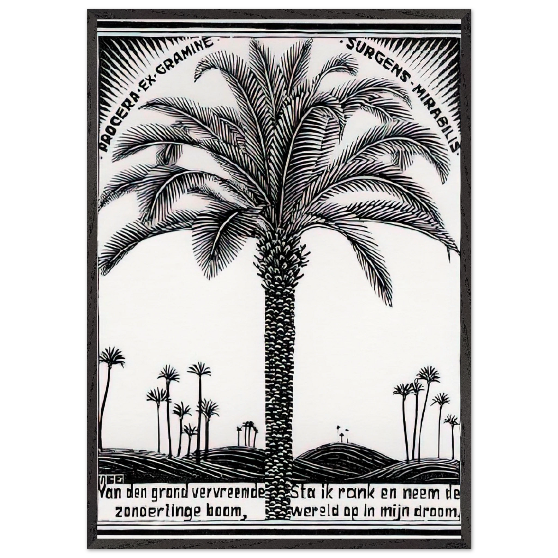 PALM TREE 1 - MC Escher Framed Art Print – Black Wooden Frame - Default Title - -Framed Art Print
