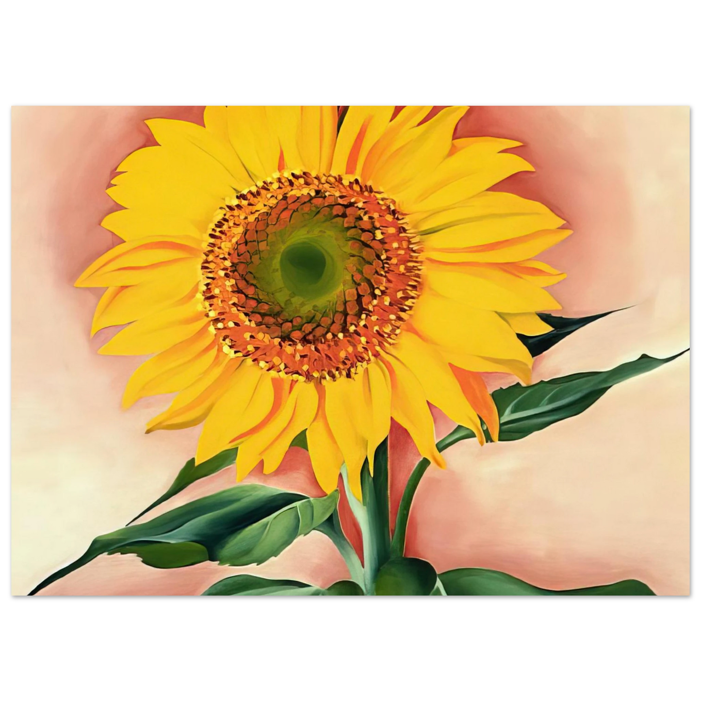 Georgia O'Keeffe - A Sunflower from Maggie Fine Art Poster - 40x60 cm / 16x24 inches