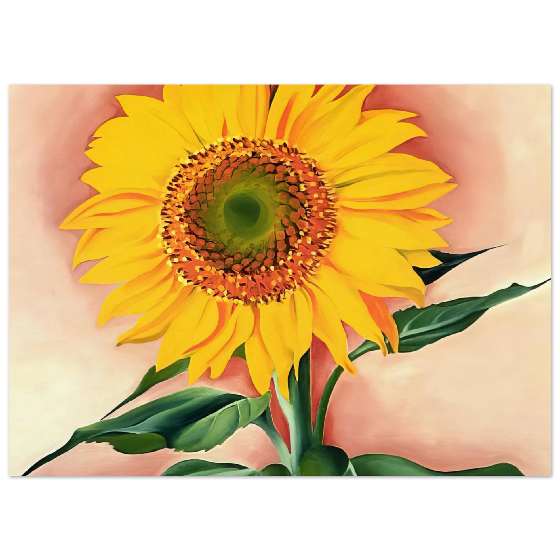 Georgia O'Keeffe - A Sunflower from Maggie Fine Art Poster - 40x60 cm / 16x24 inches