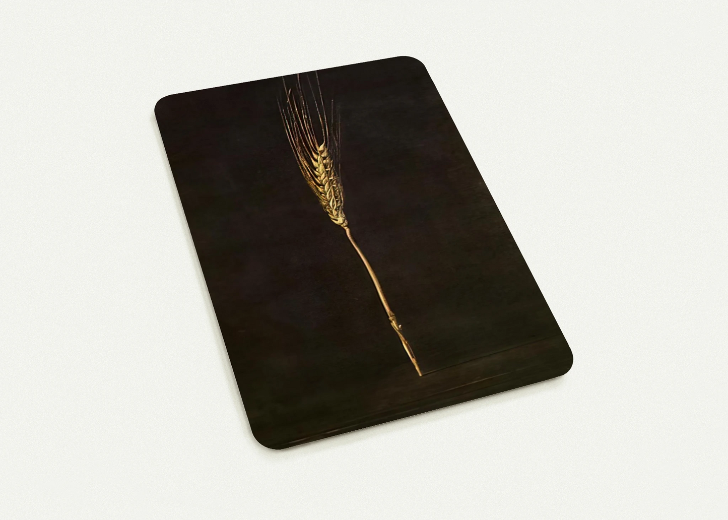 b23c2b29-fee6-4fdb-8911-d4faefb90ff1