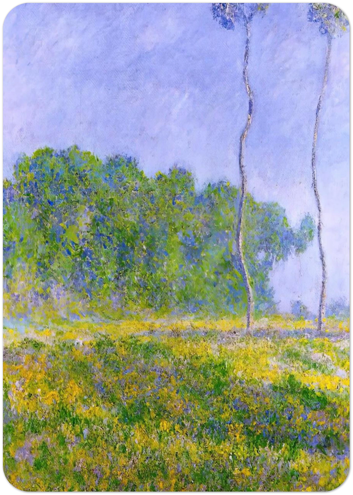 b2b337c6-9452-4b16-8b50-4bf11f8b4723