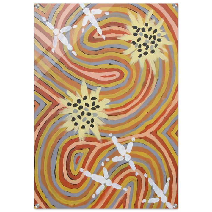 Kangaroo Dreaming at Mt. Singleton - Native Art - Clifford Possum Tjapaltjarri Acrylic Print - 70x100 cm / 28x40″ inches | Clifford Possum Tjapaltjarri Wall Art | Clifford Possum Tjapaltjarri Prints