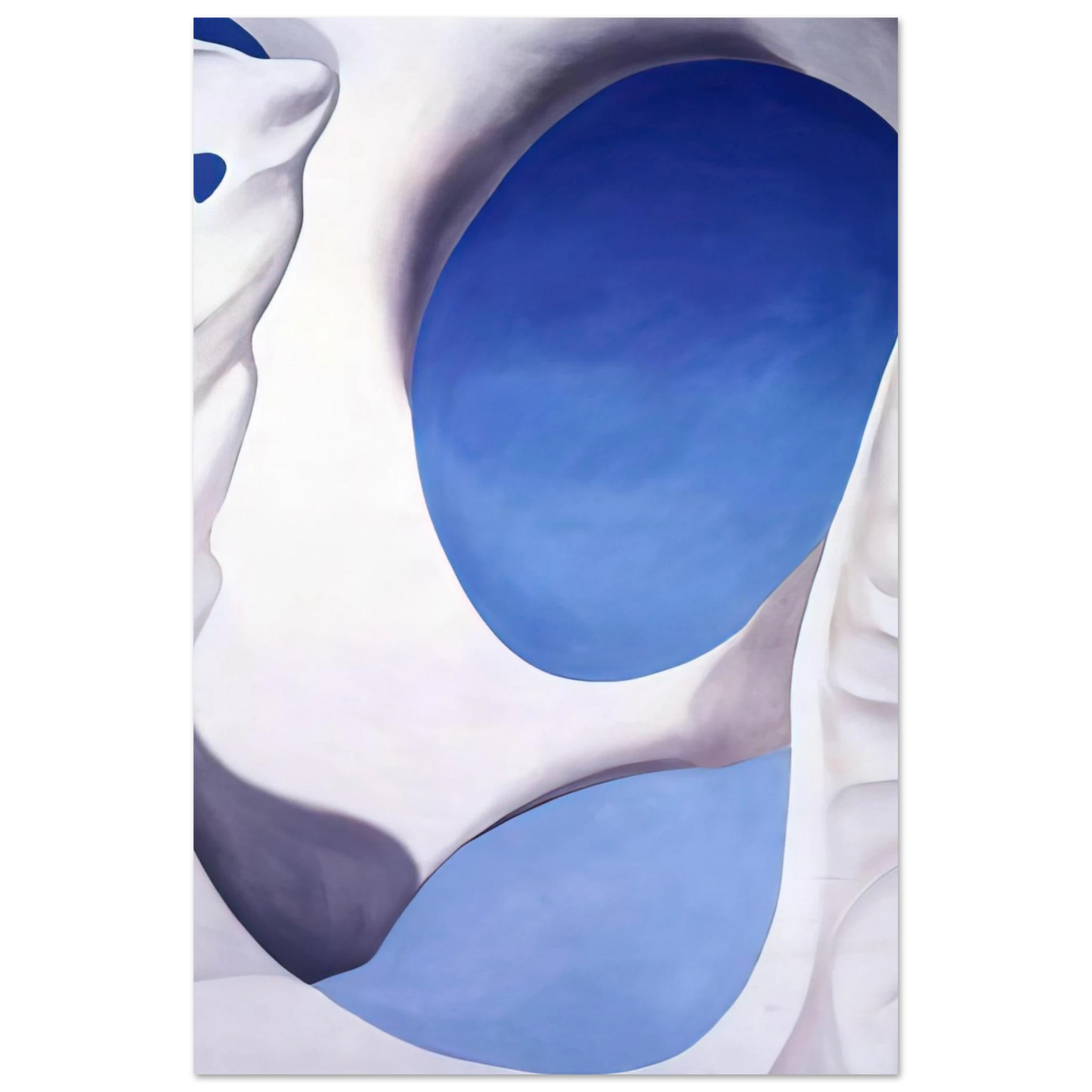 Georgia O'Keeffe - Pelvis II Fine Art Poster - 75x100 cm / 30x40 inches
