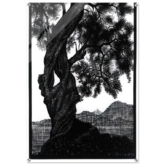 OLD OLIVE TREE CORSICA - MC Escher Acrylic Print - 70x100 cm / 28x40″ inches | Maurits Cornelis Escher Prints