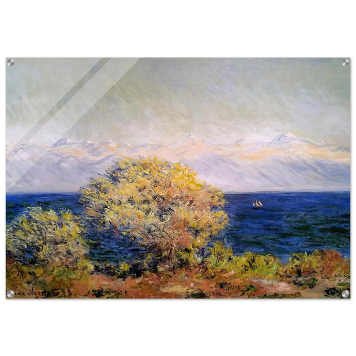 At Cap d'Antibes, Mistral Wind - claude monet Acrylic Print - 70x100 cm / 28x40″ inches
