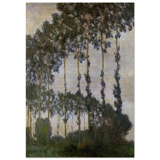 b4687c4e-20d8-4c98-9b73-24d9bcb92fb6