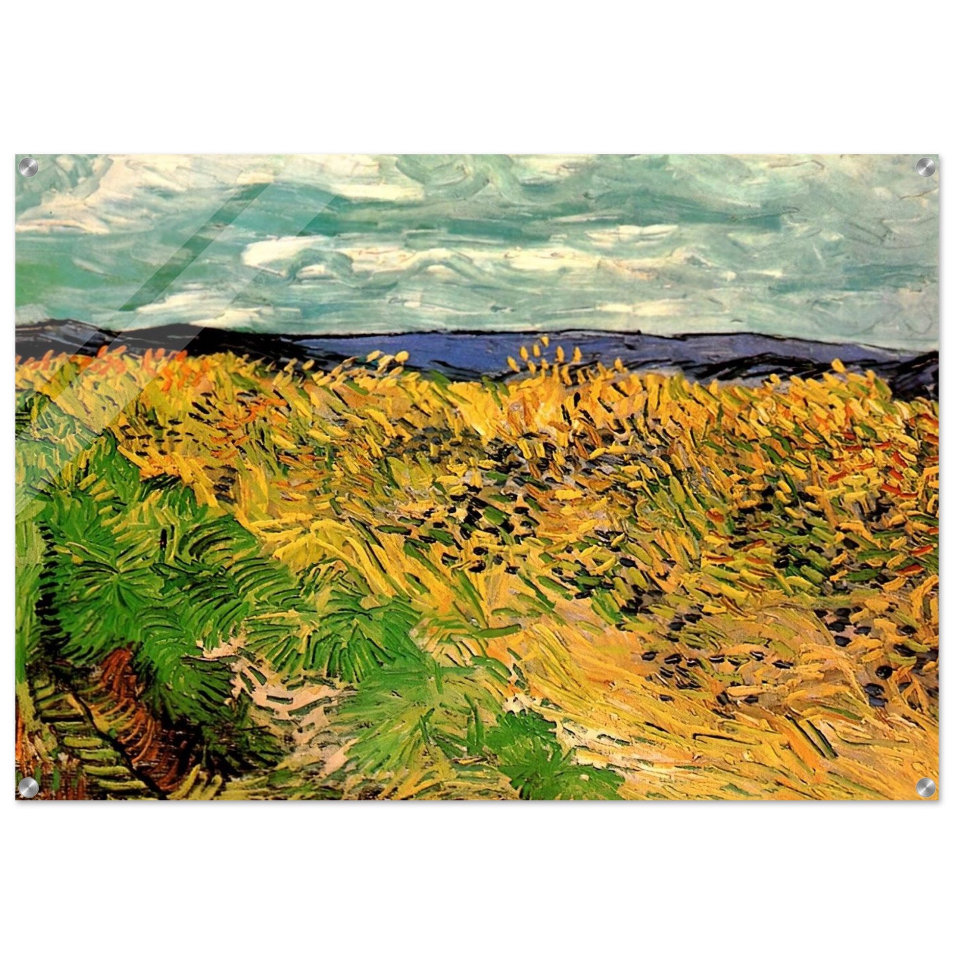 Wheat Field with Cornflowers - Vincent van Gogh Acrylic Print - 70x100 cm / 28x40″ inches