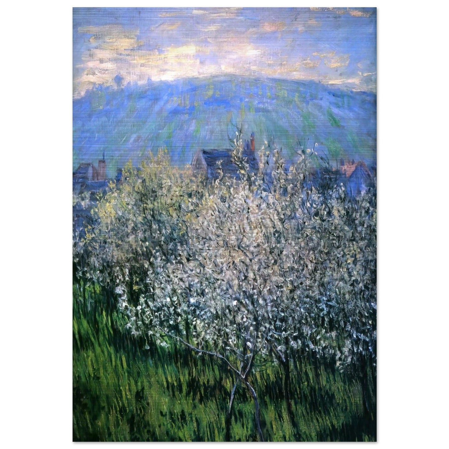 Plums Blossom - claude monet Brushed Aluminum Print - 70x100 cm / 28x40 inches | claude monet Aluminum Print | claude monet Prints