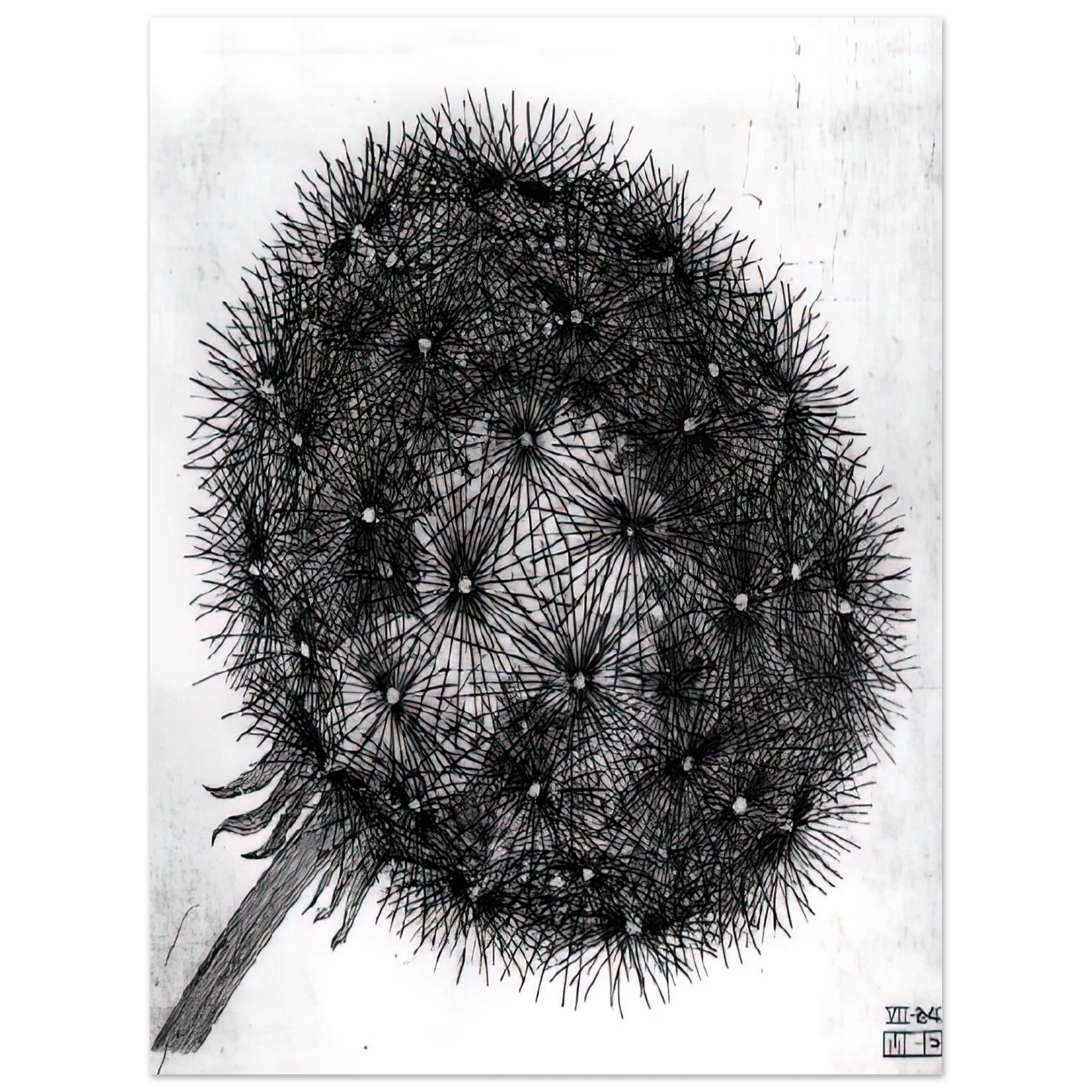 MC Escher - BLOWBALL I Wall Art - 60x80 cm / 24x32 inches - Premium Wooden Framed Poster With Fine Art Paper - Black frame