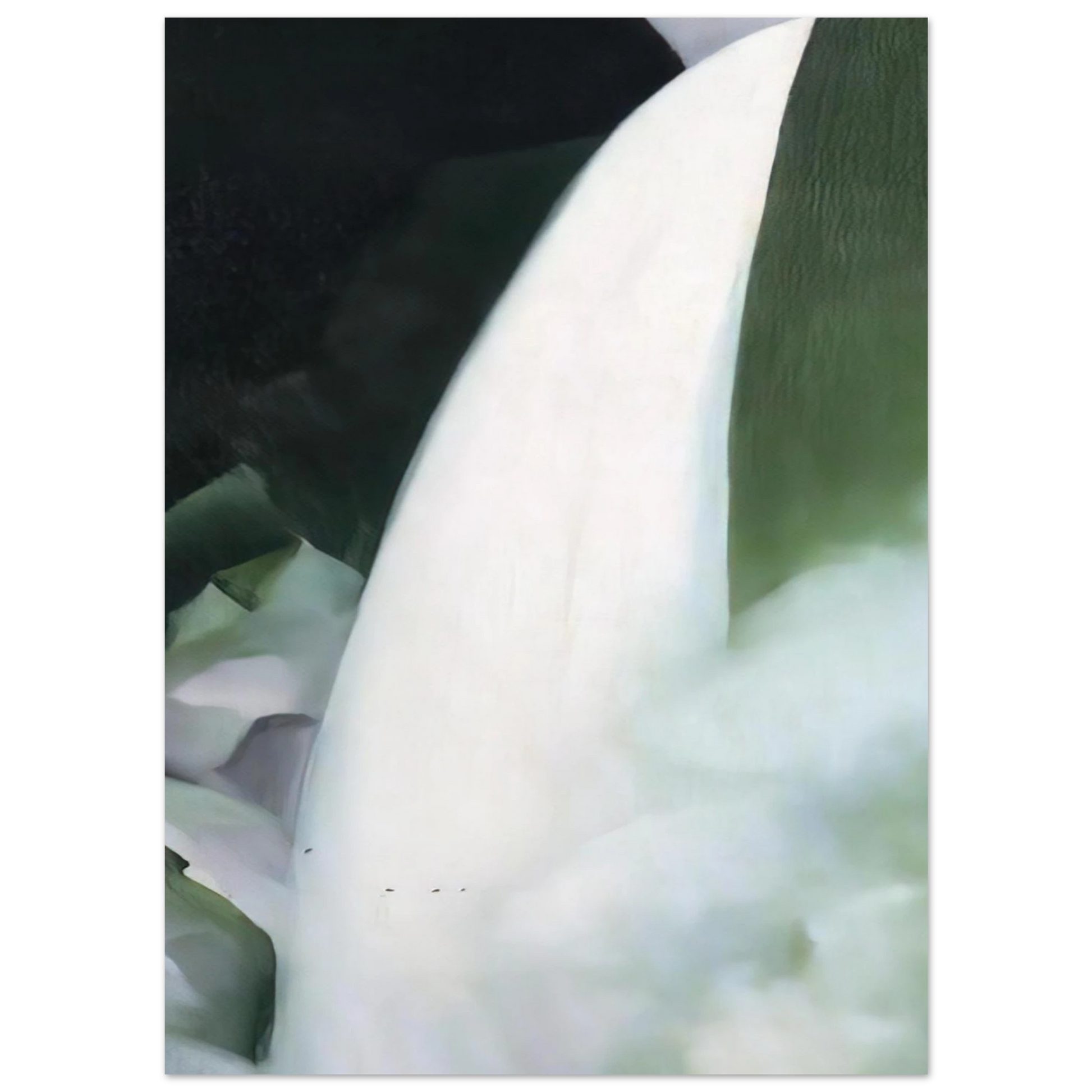 Georgia O'Keeffe - Green and White Fine Art Poster - 40x60 cm / 16x24 inches