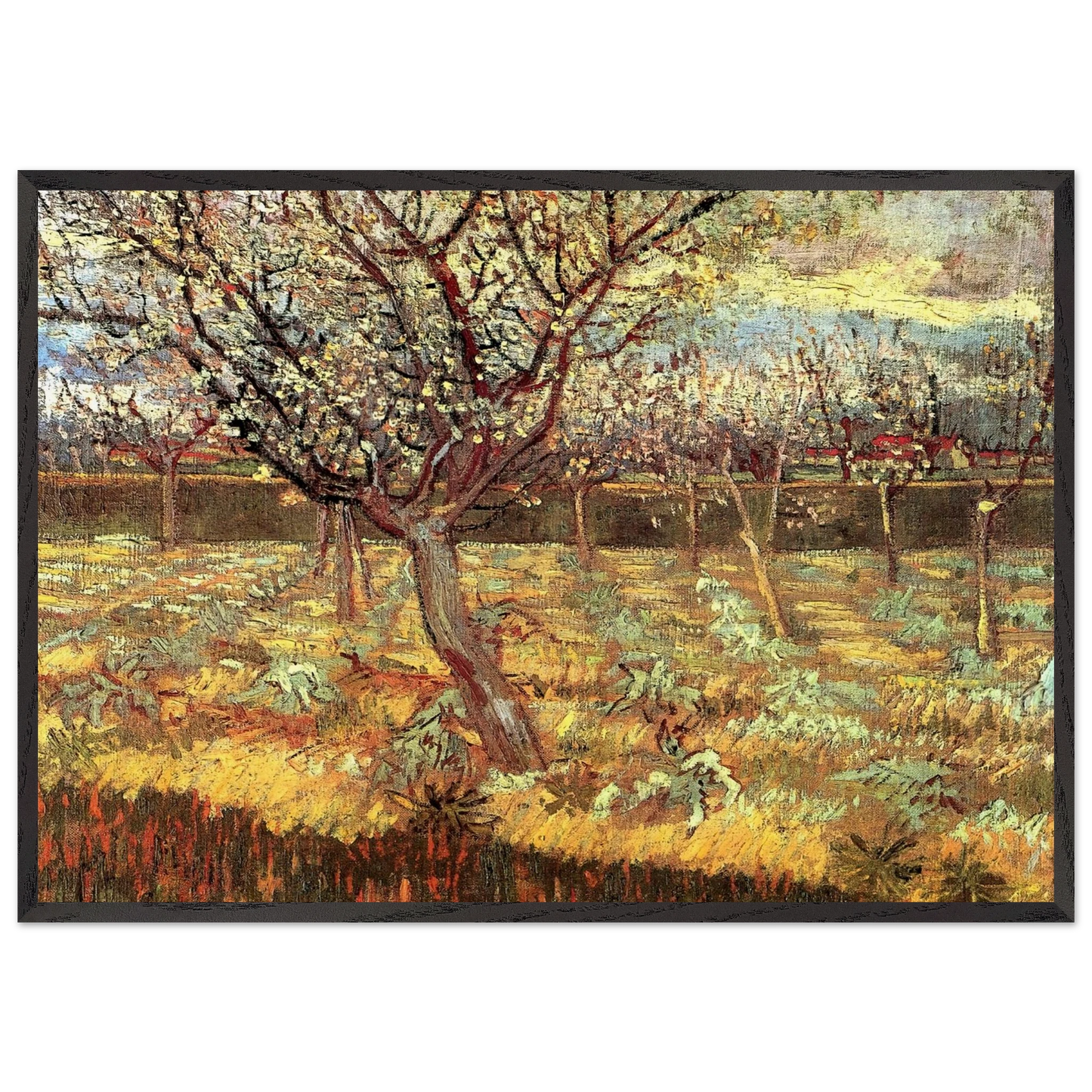 Apricot Trees in Blossom - Vincent van Gogh Framed Art Print – Black Wooden Frame - Default Title - -Framed Art Print