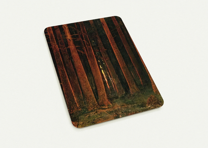 b513c4fb-92b8-4d52-951b-eb0cedfc3106