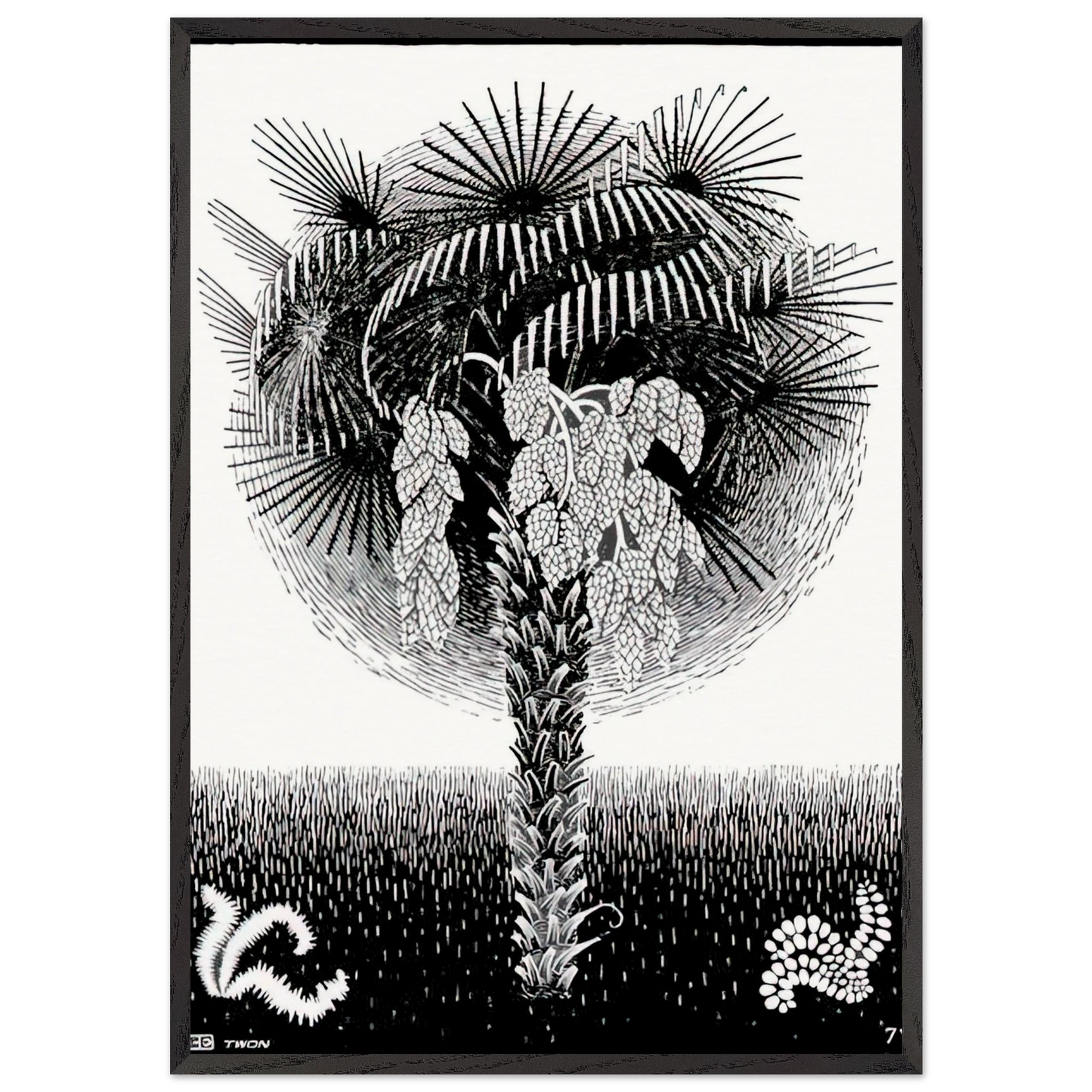 PALM TREE - MC Escher Framed Art Print – Black Wooden Frame - Default Title - -Framed Art Print
