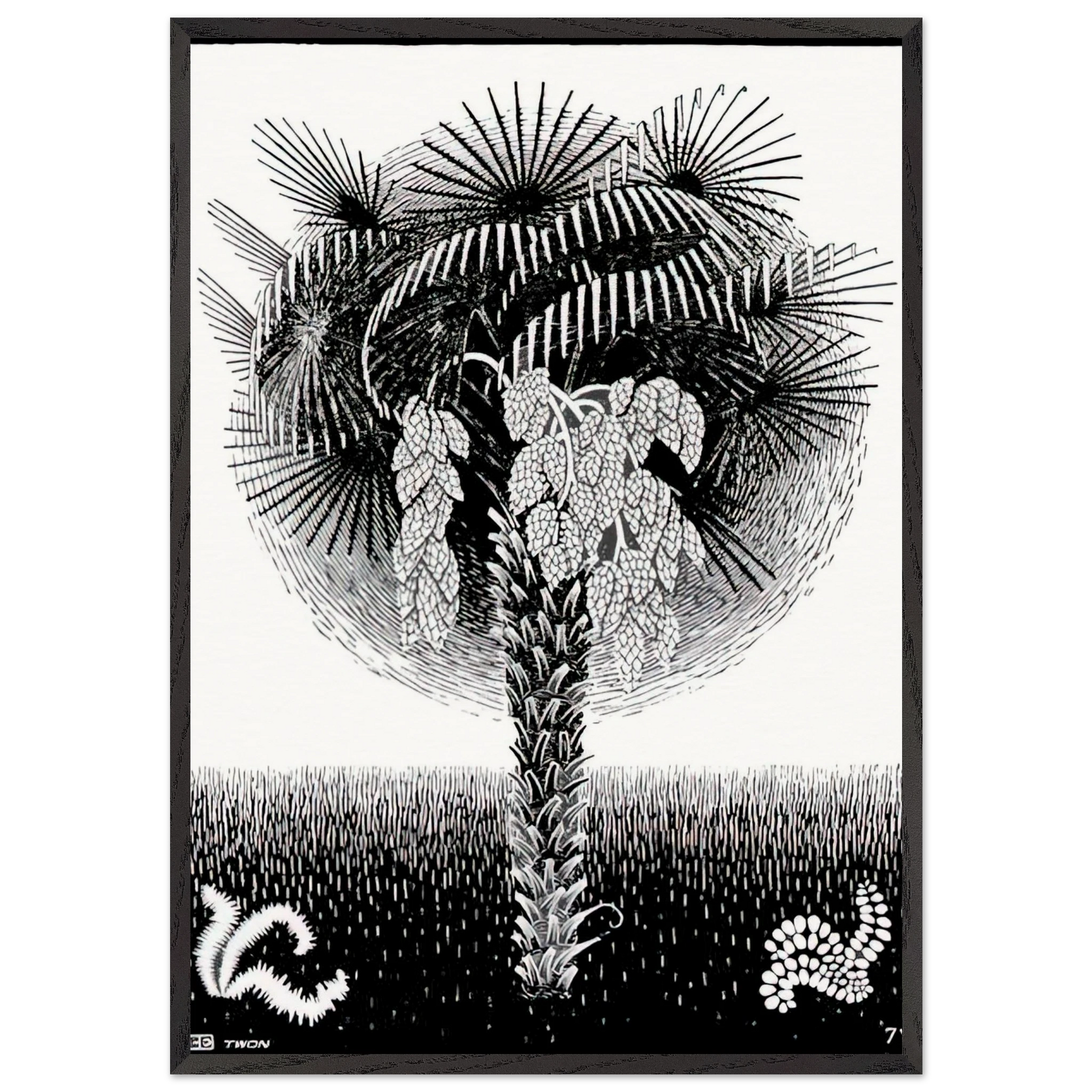 PALM TREE - MC Escher Framed Art Print – Black Wooden Frame - Default Title - -Framed Art Print