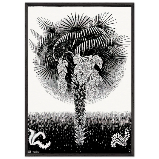 PALM TREE - MC Escher Framed Art Print – Black Wooden Frame - Default Title - -Framed Art Print