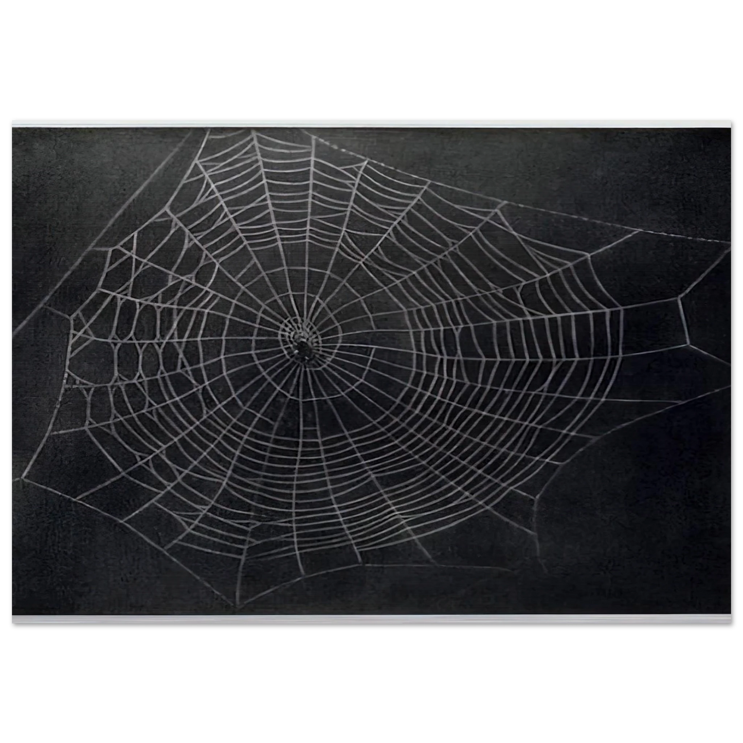 b53a9c4b-3b9b-4737-b6e9-92629c0849a8