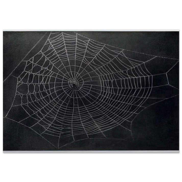 UNTITLED SPIDER WEB 2000 - Vija Celmins Brushed Aluminum Print - 70x100 cm / 28x40 inches | Vija Celmins Aluminum Print | Vija Celmins Prints