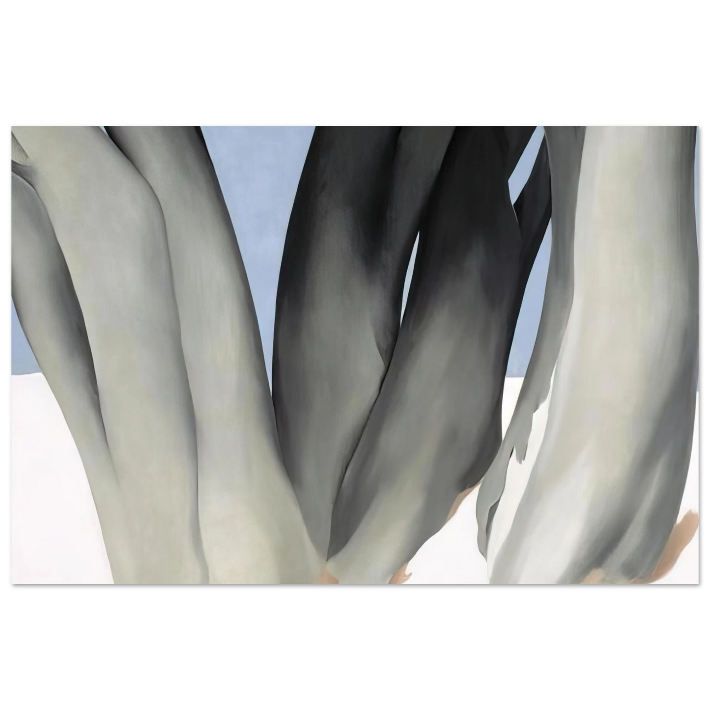 Georgia O'Keeffe - Bare Tree Trunks with Snow Fine Art Poster - 40x60 cm / 16x24 inches