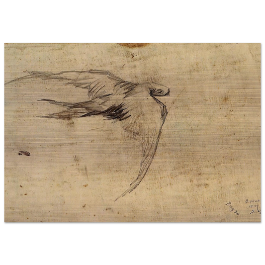 Swift - Vincent van Gogh Brushed Aluminum Print - 70x100 cm / 28x40 inches | Vincent van Gogh Aluminum Print | Vincent van Gogh Prints