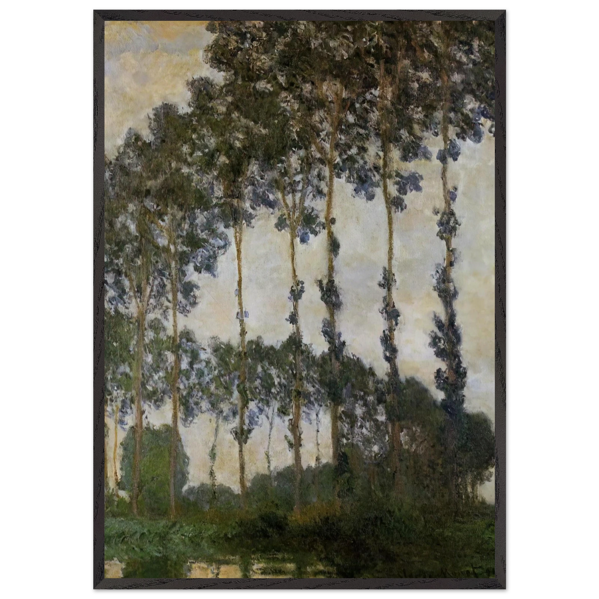 Poplars at Giverny - claude monet Framed Art Print – Black Wooden Frame - Default Title - -Framed Art Print