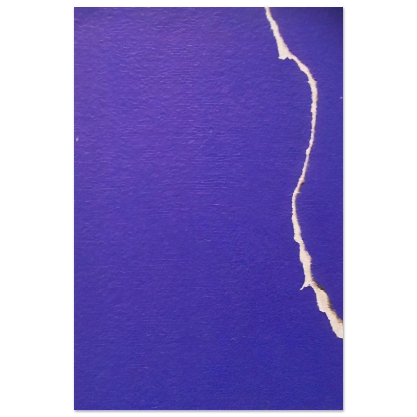 b6ac9372-b24a-4222-b410-dbb7fa24e06b