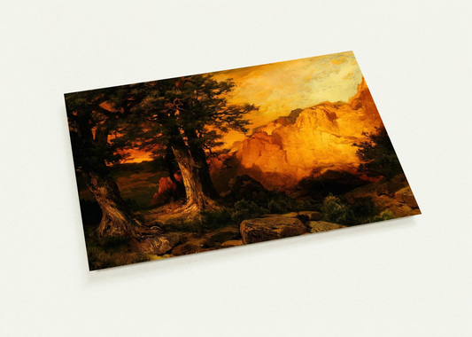 b6b41c54-fd46-4053-80c5-2ef74b923557