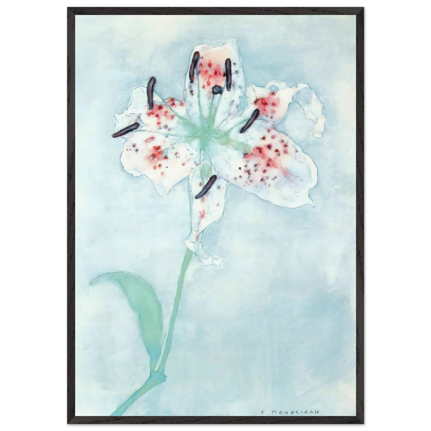 Lily - Piet Mondrian Framed Art Print – Black Wooden Frame - Default Title - -Framed Art Print